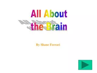 All About the Brain