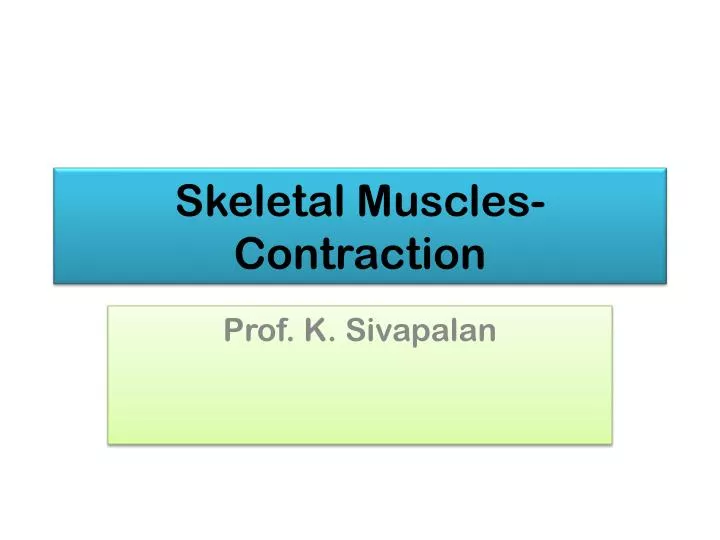 skeletal muscles contraction