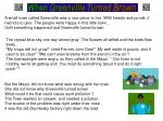 Greenville's Pollution Problem: A Environmental Cleanup Story - slide 1
