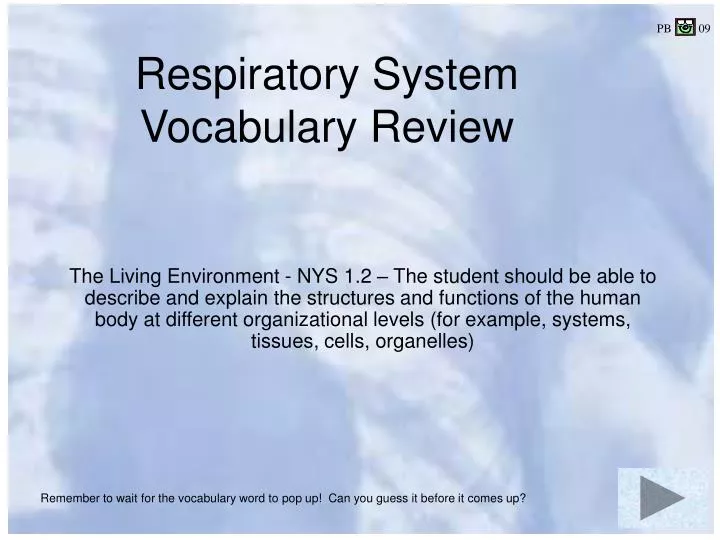 respiratory system vocabulary review