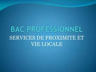 bac professionnel