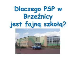dlaczego psp w brze nicy jest fajn szko