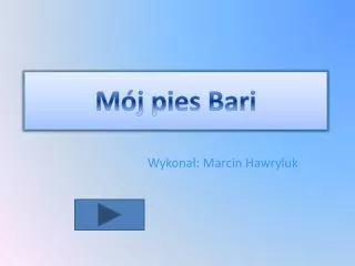 m j pies bari