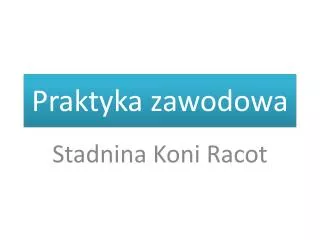 praktyka zawodowa