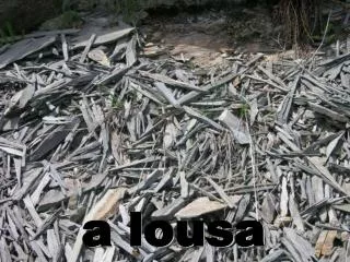 a lousa