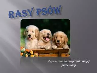 PPT - Rasy PowerPoint Presentation, Free Download - ID:1348527