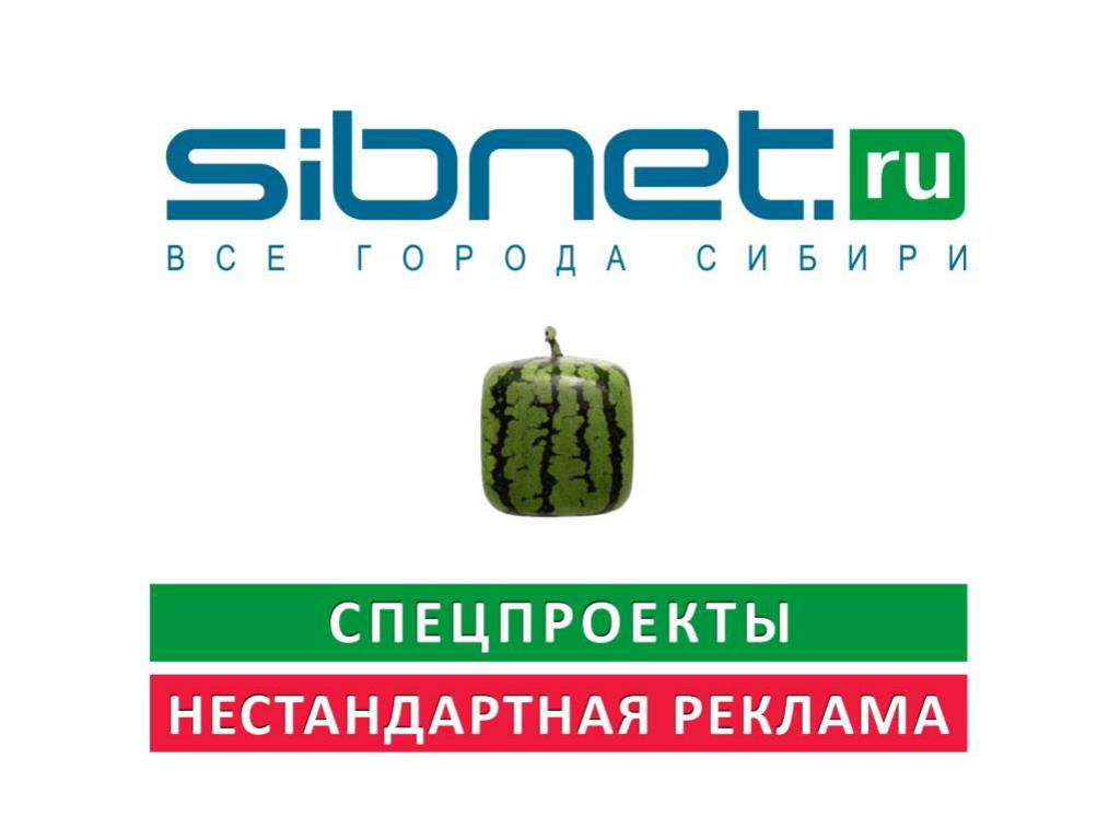PPT - Sibnet.ru — сибирский информационно-развлекательный портал ...
