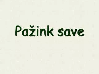 pa ink save