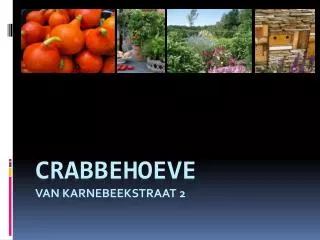 crabbehoeve van karnebeekstraat 2