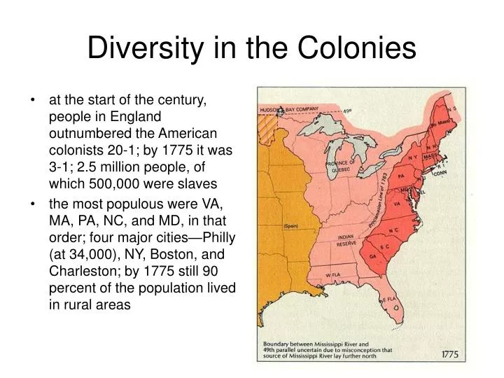 diversity in the colonies