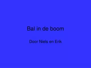 bal in de boom