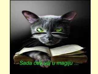 sada e u i u magiju