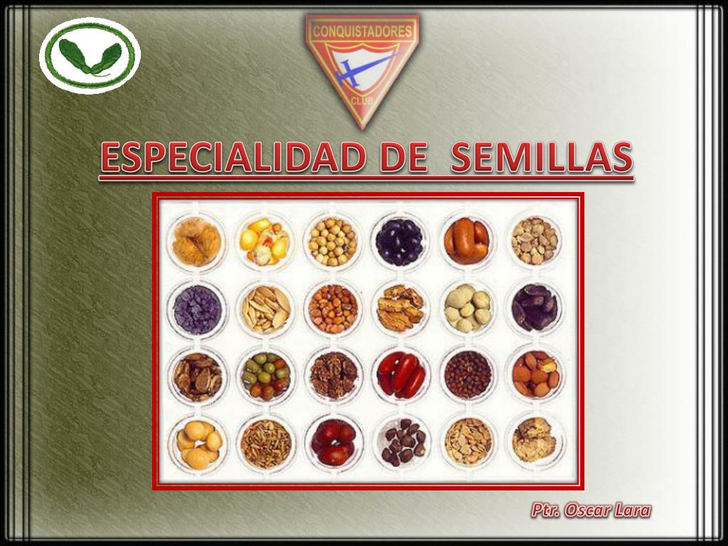 Especialidad De Semillas Desarrollada Conquistadores En Ppt