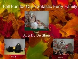Fall Fun for Our Fantastic Furry Family