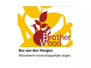 bas van den hoogen