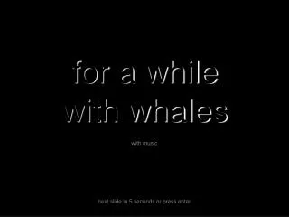 for a while with whales