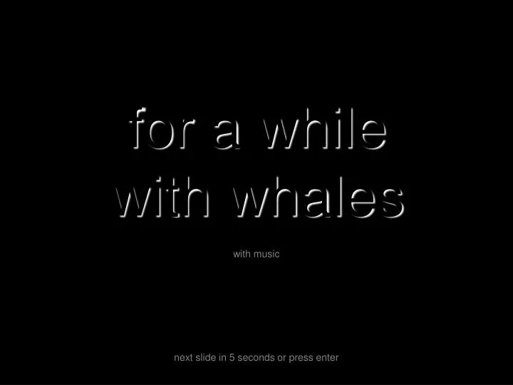 for a while with whales