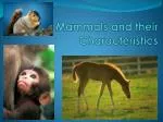 Mammals and their Characteristics - slide 1