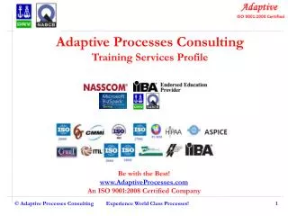 Adaptive Processes Consulting Training Services Profile