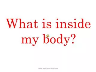What is inside my body ?