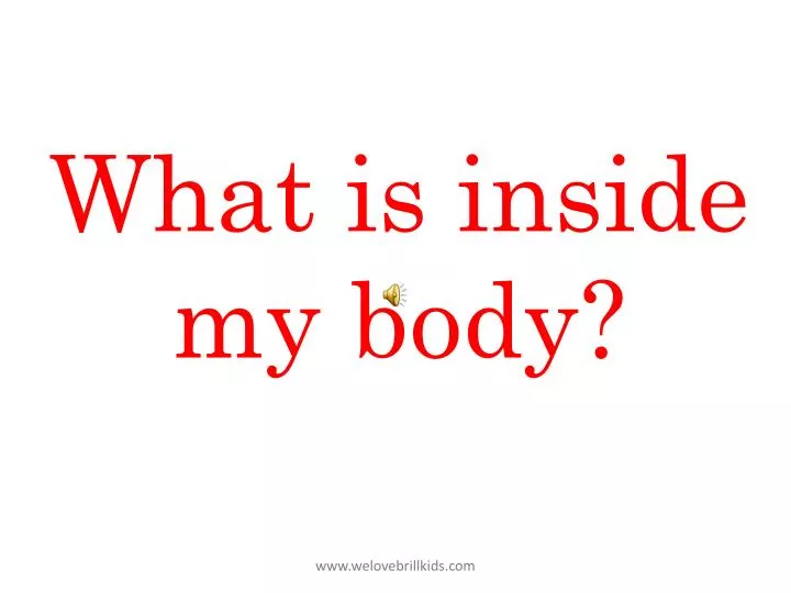 what is inside my body