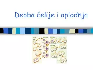 deoba elije i oplodnja