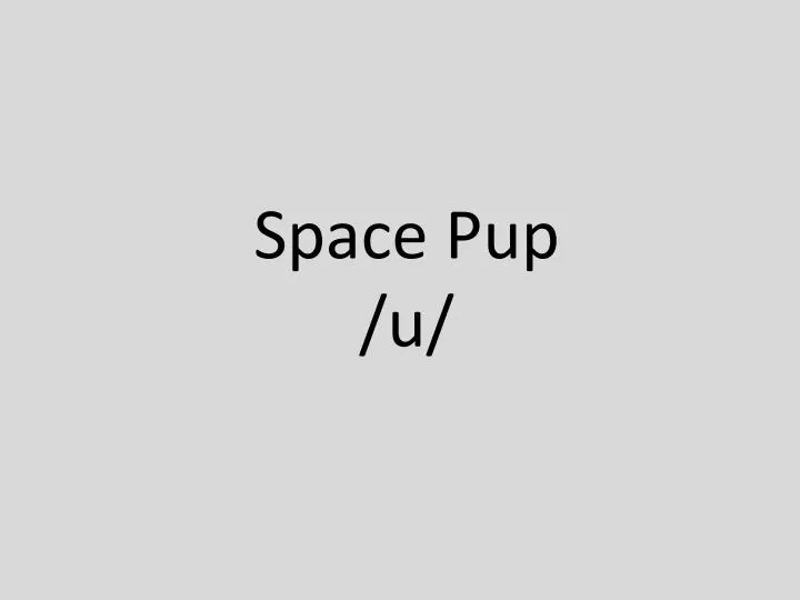 space pup u