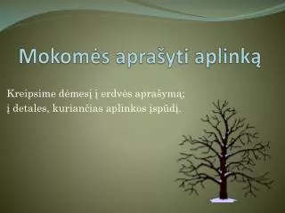 mokom s apra yti aplink