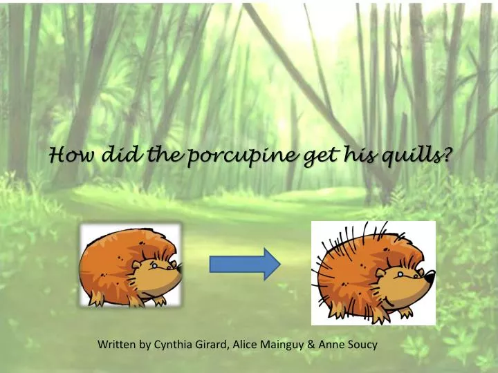 how did the porcupine get his quills