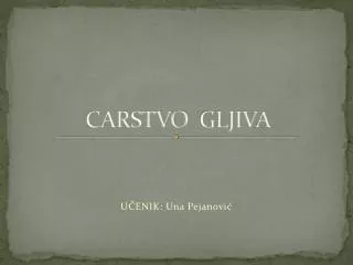 carstvo gljiv a