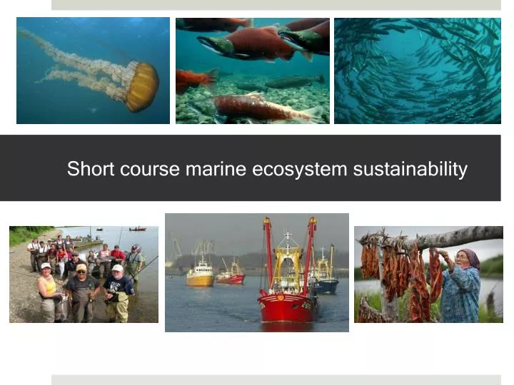 short course marine ecosystem sustainability