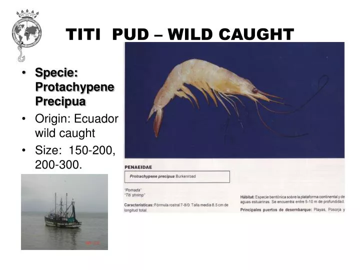 titi pud wild caught