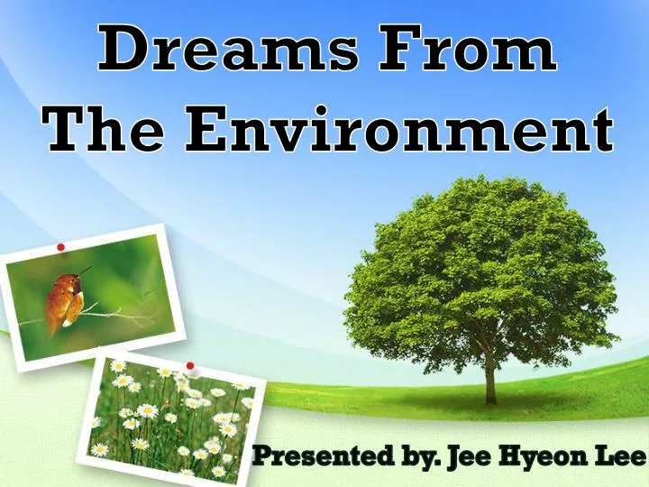 dreams from the environment