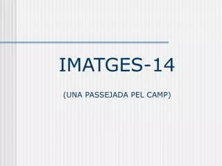 imatges 14 una passejada pel camp