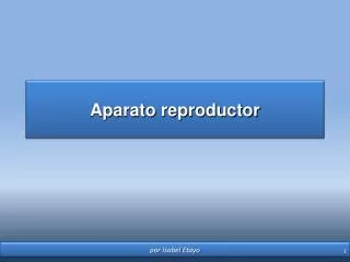 aparato reproductor