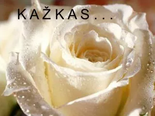 k a k a s