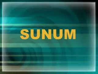 sunum