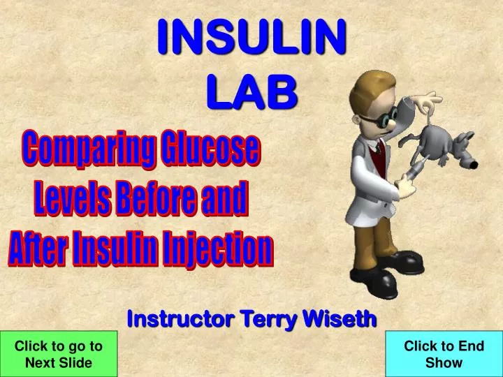insulin lab