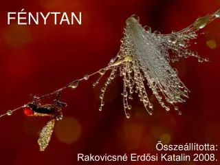 f nytan