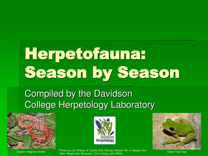 herpetofauna season by season