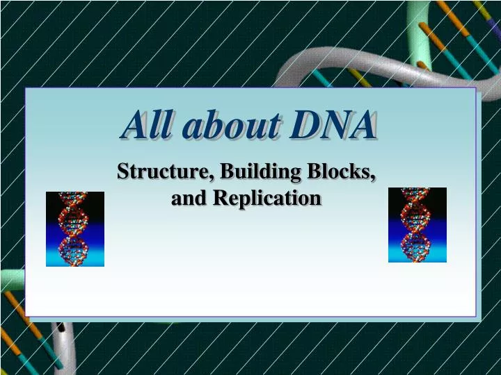 all about dna