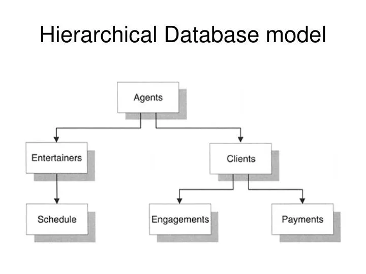 hierarchical database model