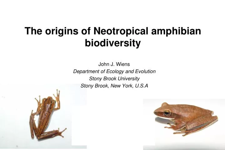 the origins of neotropical amphibian biodiversity