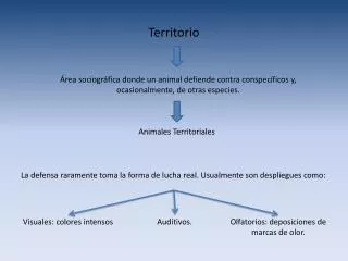 territorio