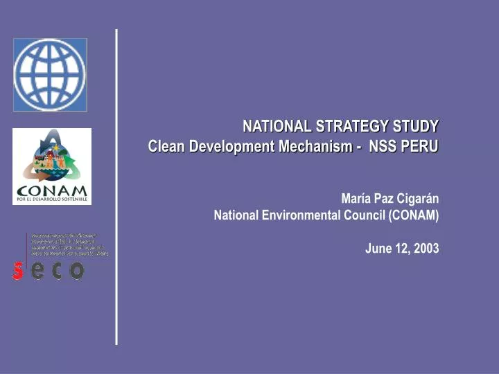 national strategy study clean development mechanism nss peru