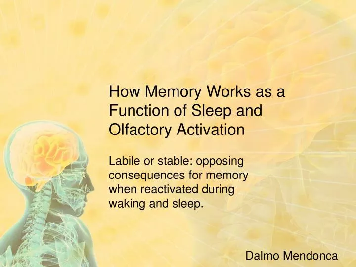 how memory works as a function of sleep and olfactory activation