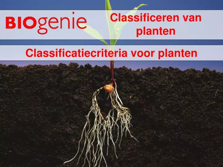 classificeren van planten