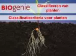 Classificeren van planten - slide 1