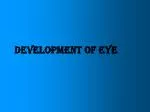 DEVELOPMENT OF EYE - slide 1