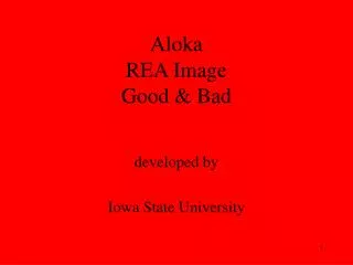Aloka REA Image Good &amp; Bad